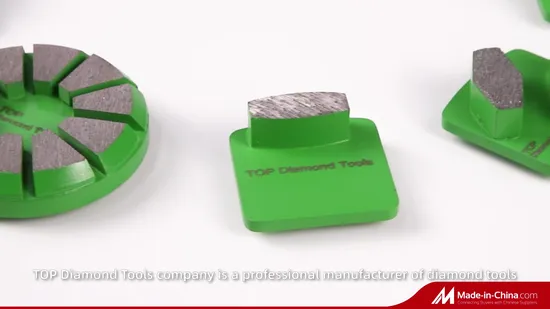 Redi Lock Lavina Diamatic Diamond Grinding Plate Shoe Disc Tools for Polishing Concrete Cement Floor with Double Segments